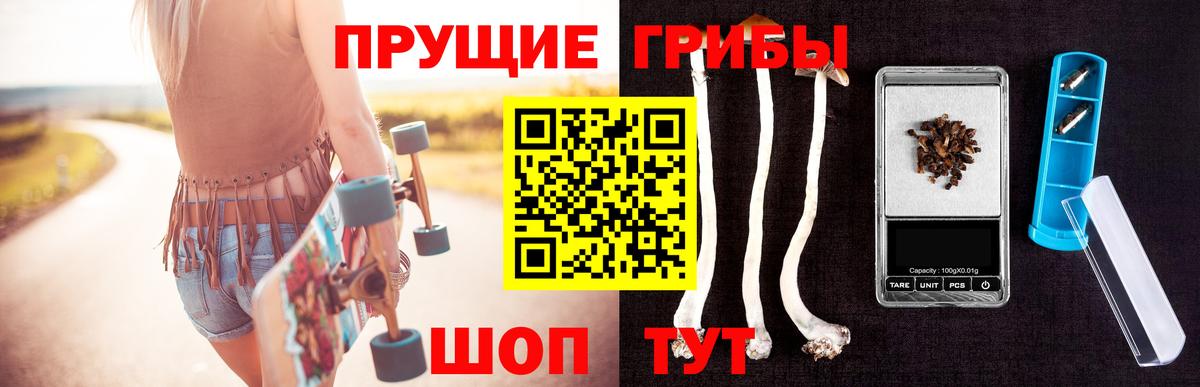Псилоцибиновые грибы Magic Shrooms  Вход с VPN  Гусиноозёрск 